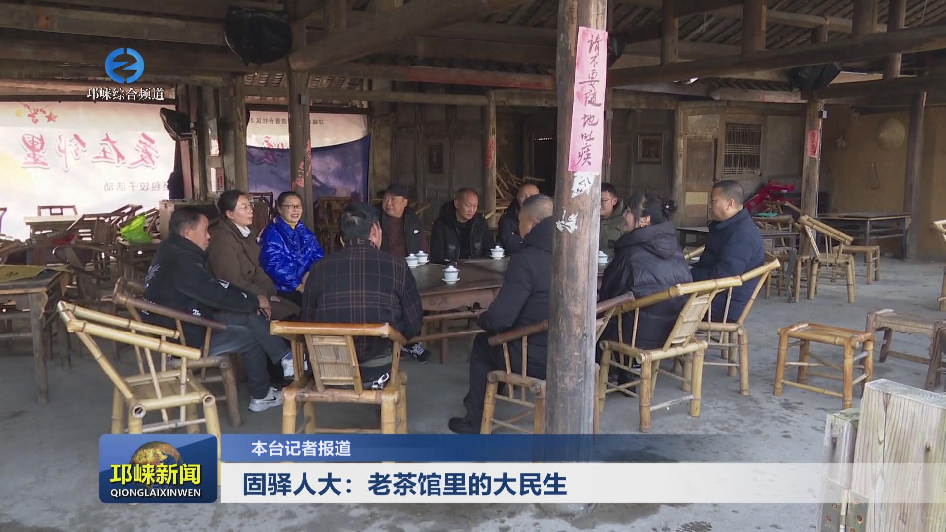 【20250108】固驿人大：老茶