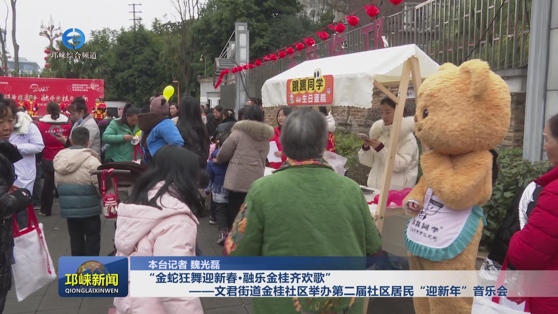 【20250117】 “金蛇狂舞迎