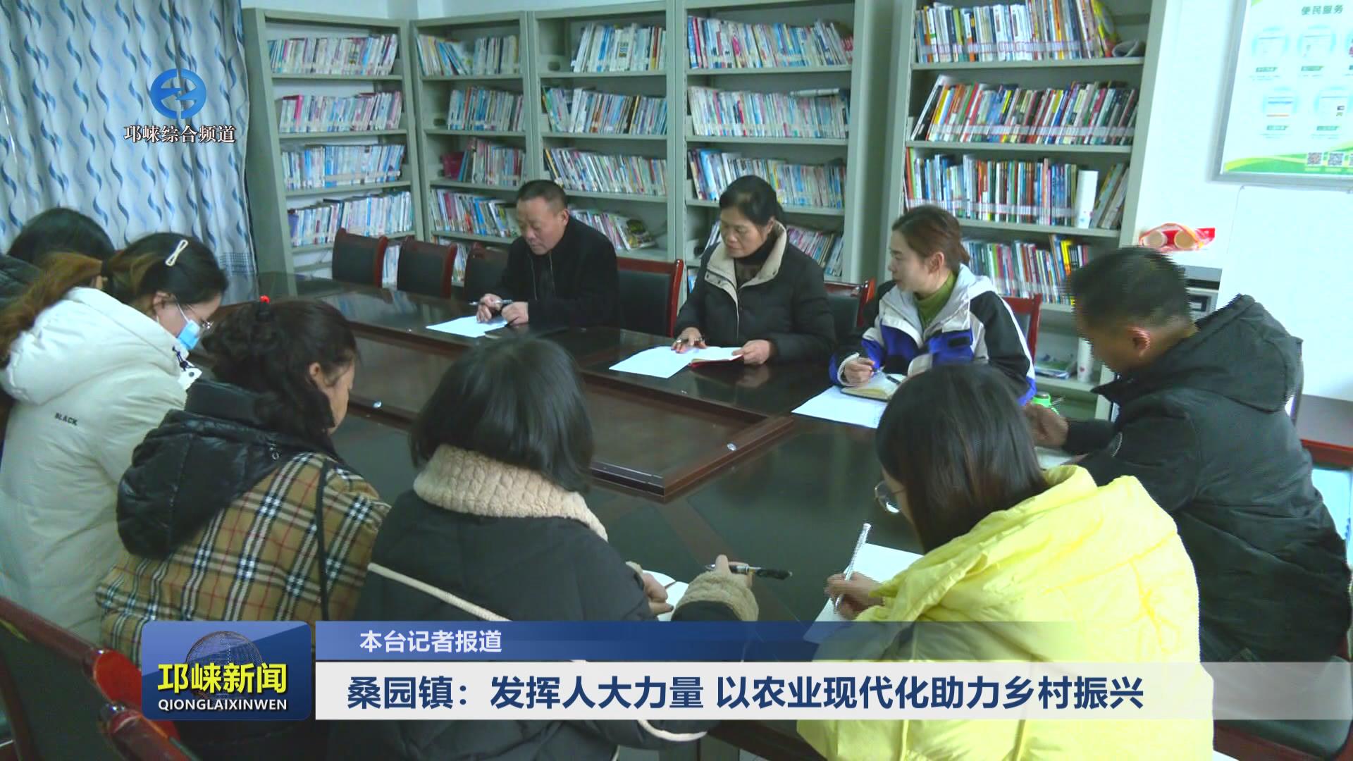 【20250120】桑园镇：发挥人