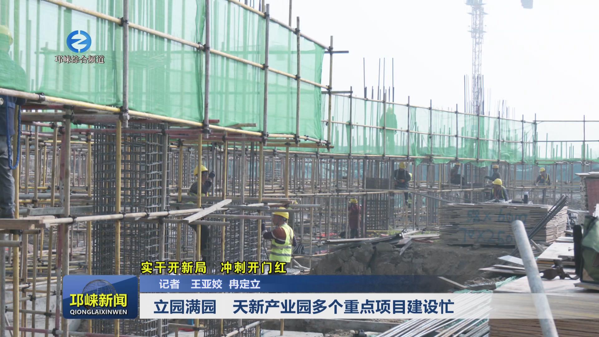 【20250122】立园满园 天新