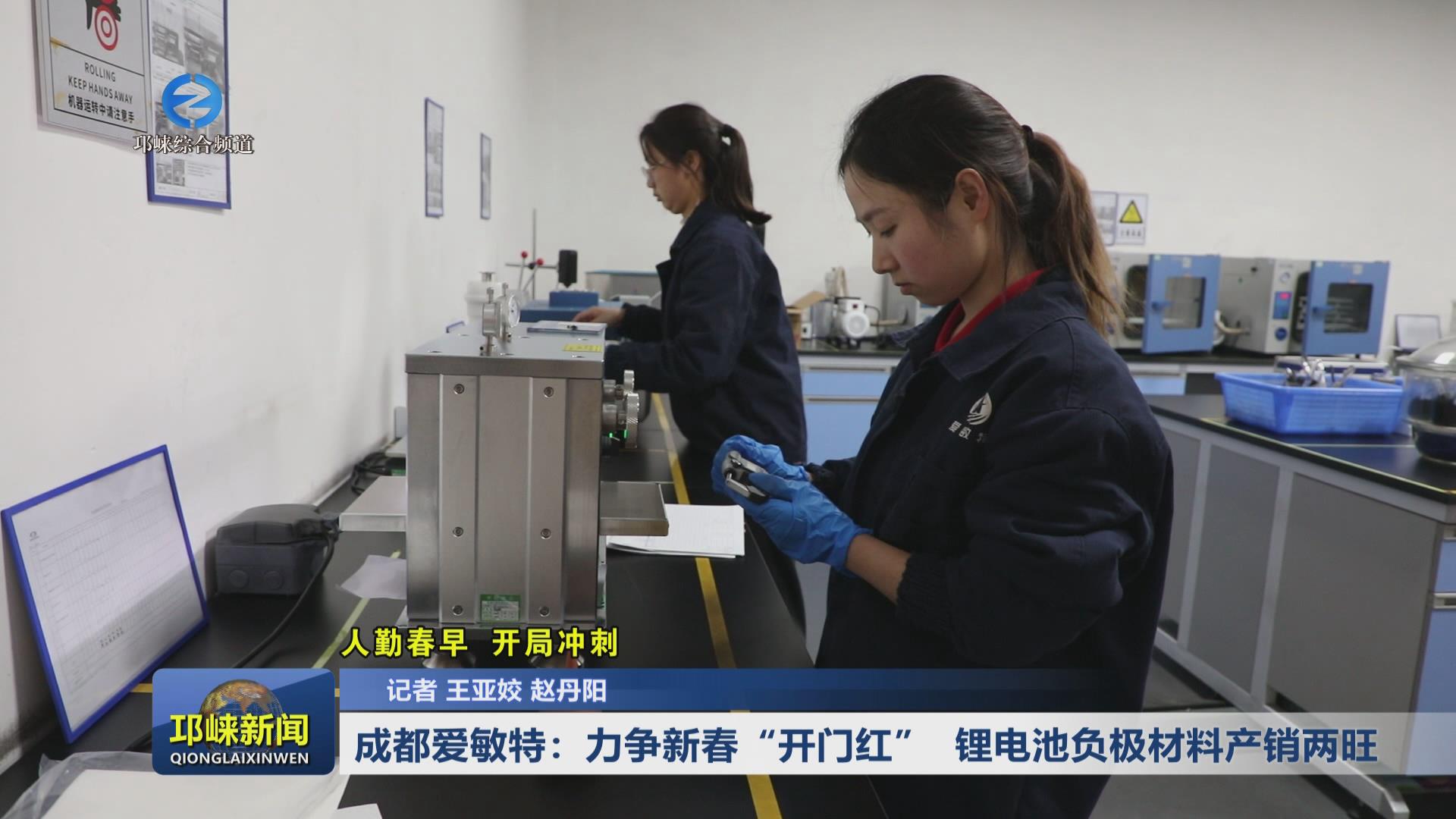 【20250211】成都爱敏特：力
