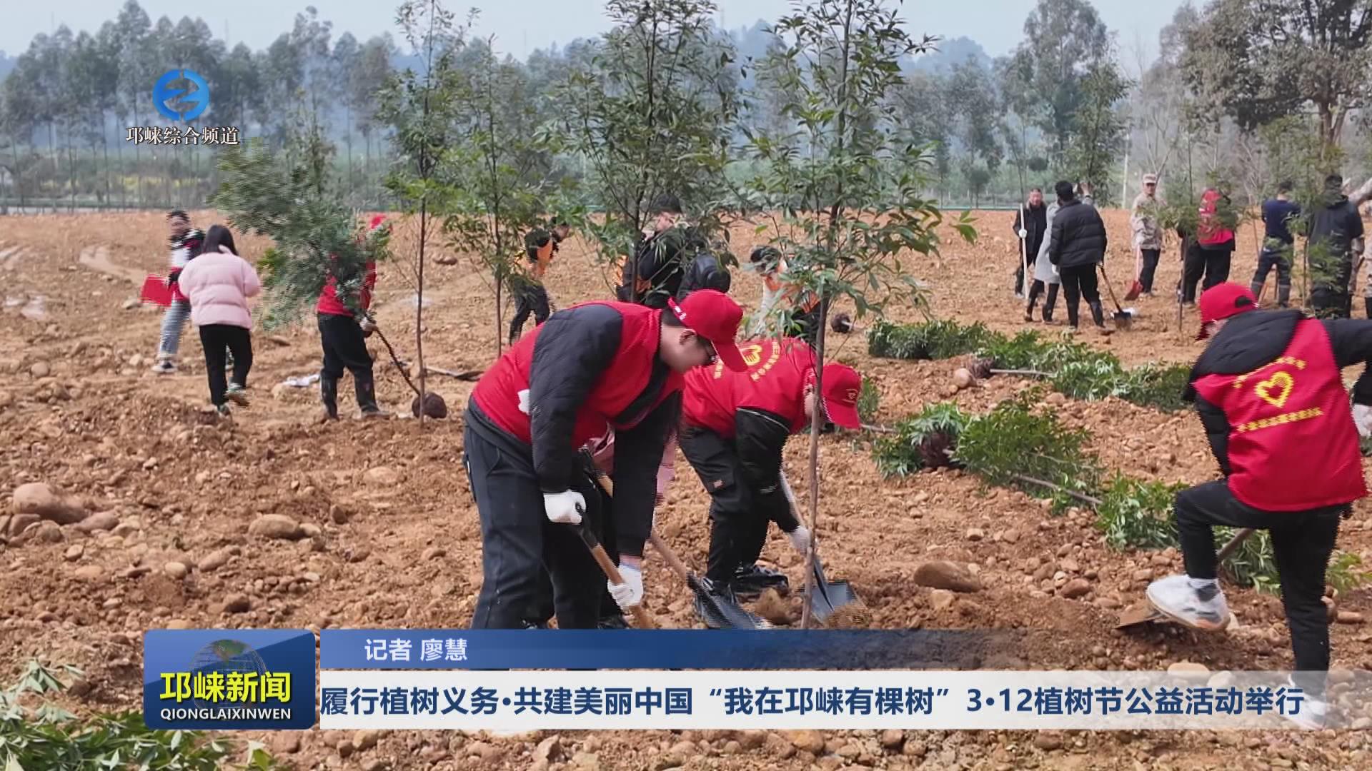 【20250312】履行植树义务