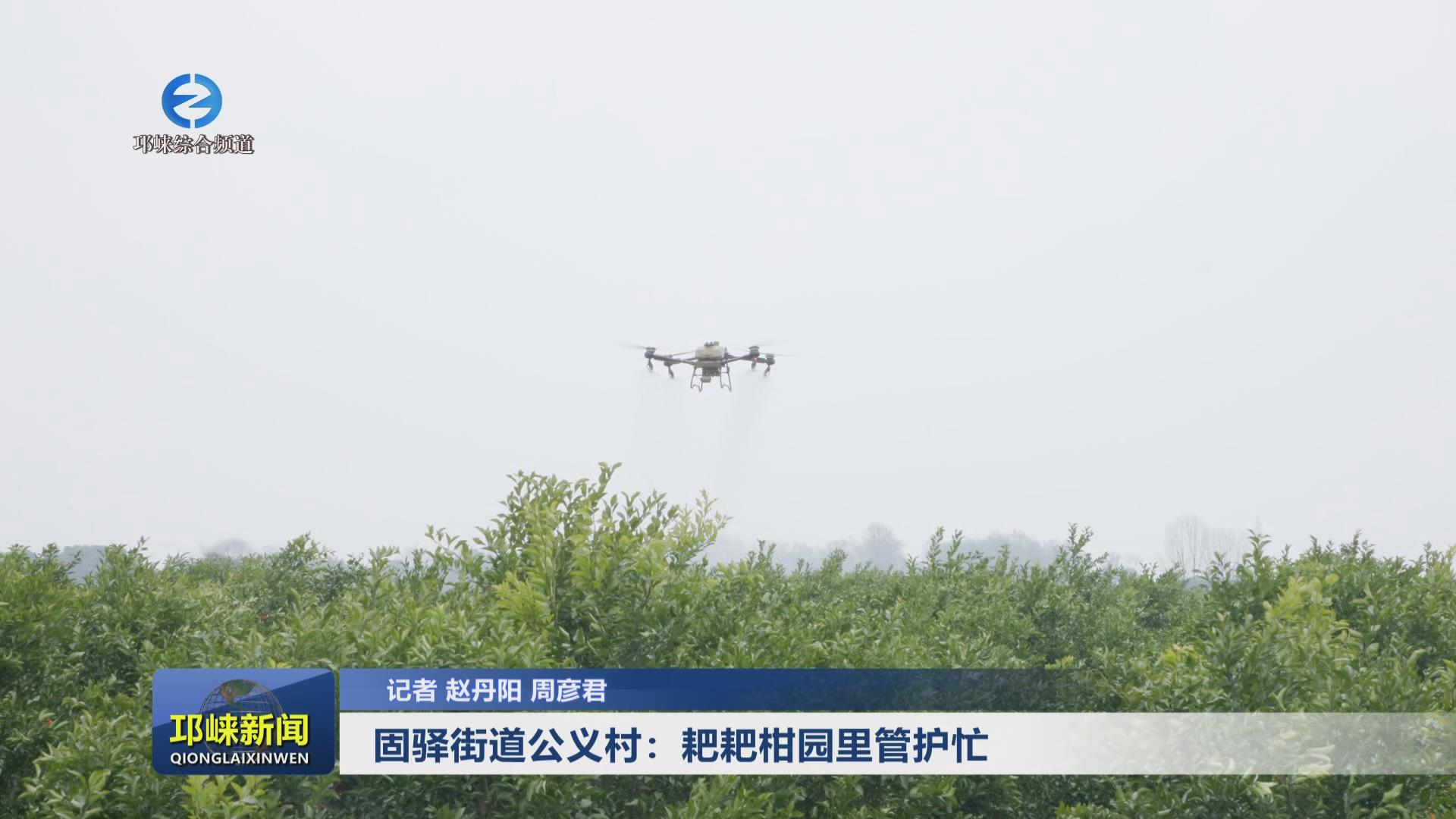 【20250324】固驿街道公义村