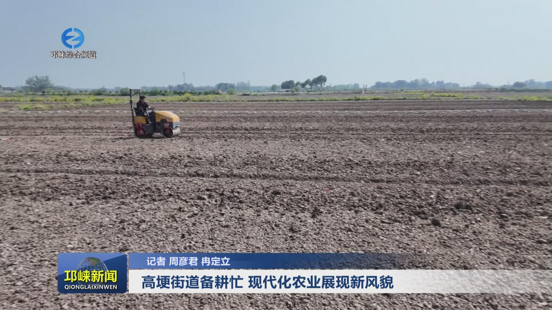 【20250408】高埂街道备耕忙
