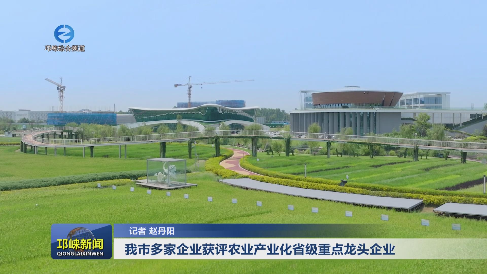 【20250409】我市多家企业获