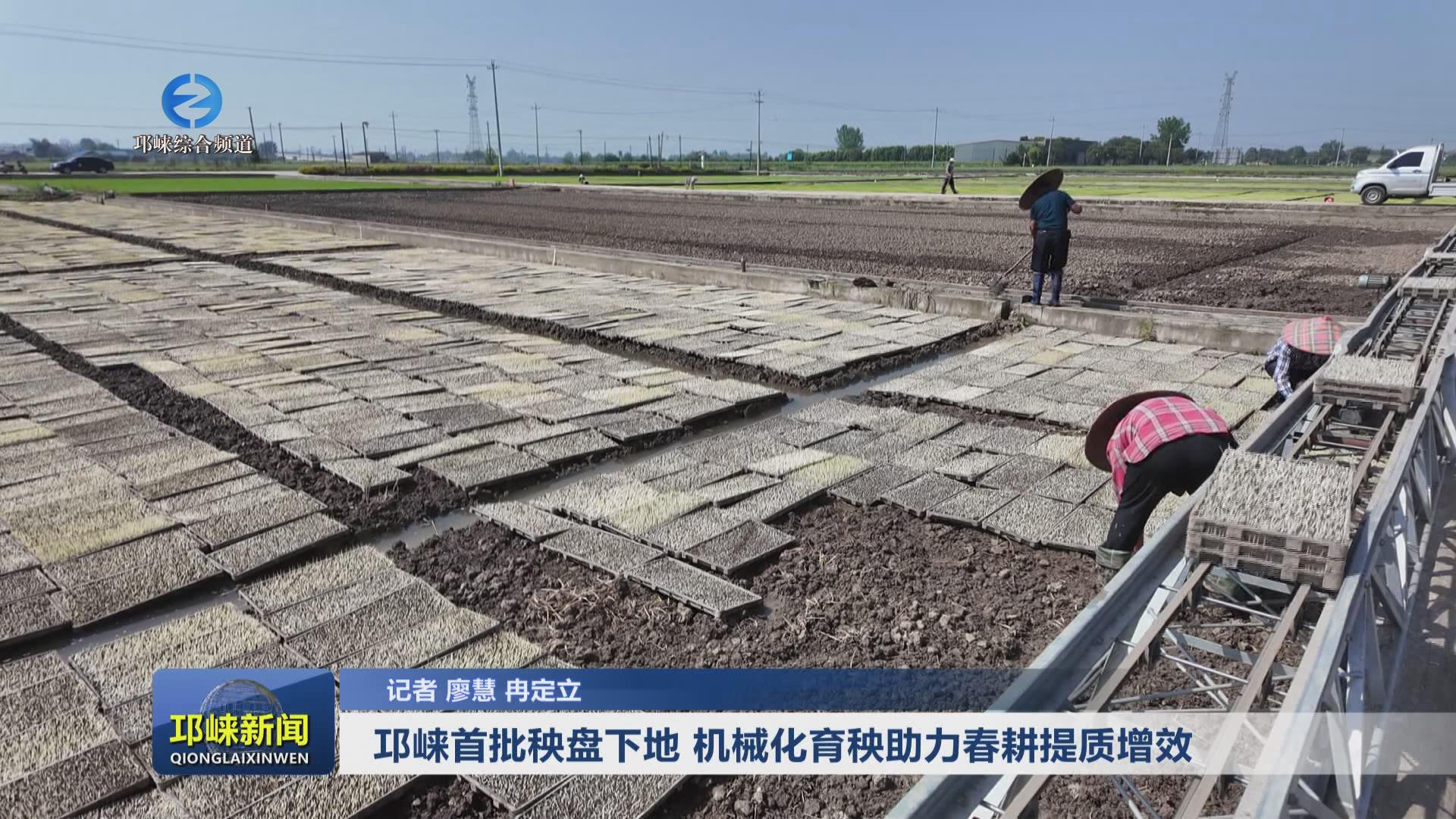 【20250418】邛崃首批秧盘下