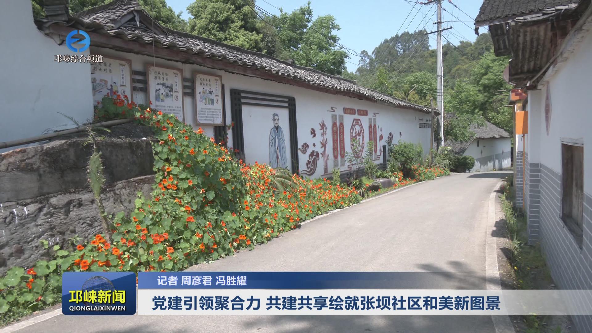 【20250418】党建引领聚合力
