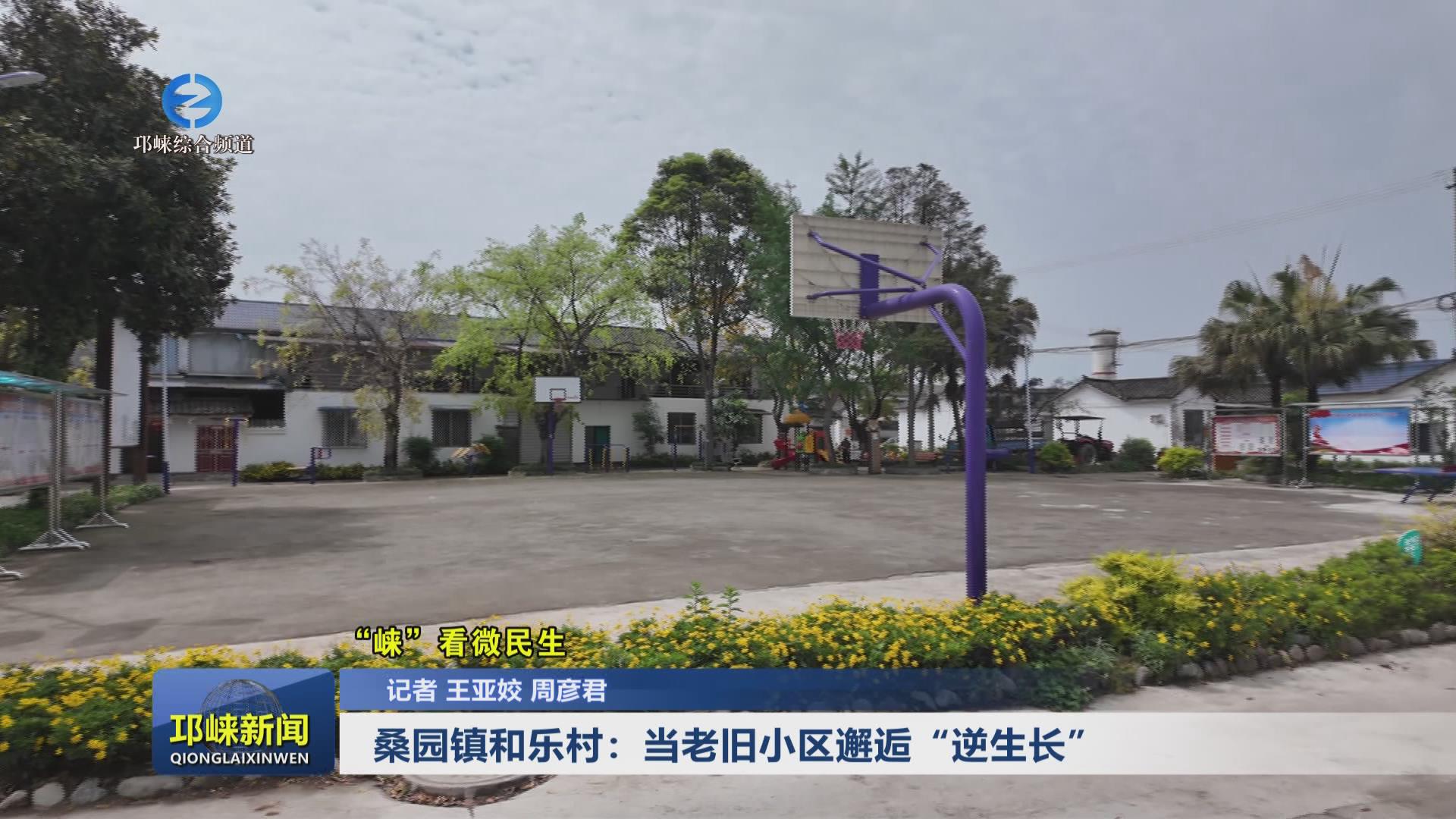 【20250423】桑园镇和乐村：